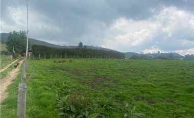 Vendo lote en la calera mas de 5000 mts