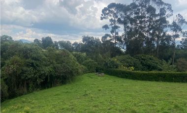 Vendo lote en la calera mas de 5000 mts