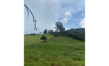 Vendo lote en la calera mas de 5000 mts