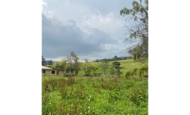 Vendo lote en la calera mas de 5000 mts