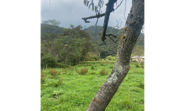 Vendo lote en la calera mas de 5000 mts