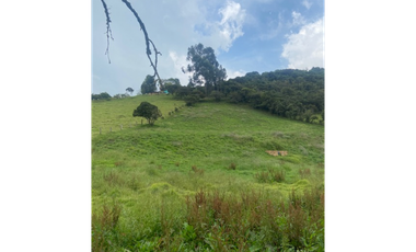 Vendo lote en la calera mas de 5000 mts