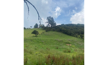 Vendo lote en la calera mas de 5000 mts