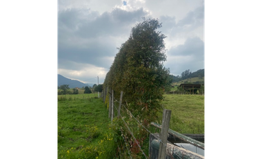 Vendo lote en la calera mas de 5000 mts