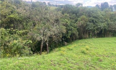 Vendo lote en la calera mas de 5000 mts