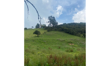 Vendo lote en la calera mas de 5000 mts