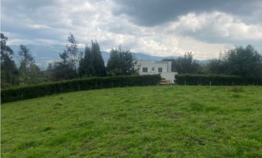 Vendo lote en la calera mas de 5000 mts