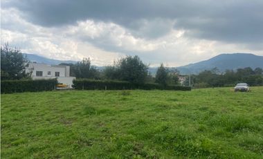 Vendo lote en la calera mas de 5000 mts