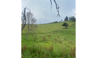 Vendo lote en la calera mas de 5000 mts