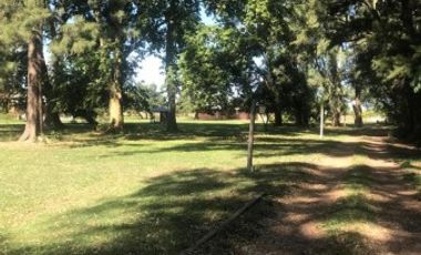 QUINTA EN VENTA 6 HECTÃREAS, RUTA 3 KILOMETRO 70 -CAÃUELAS-