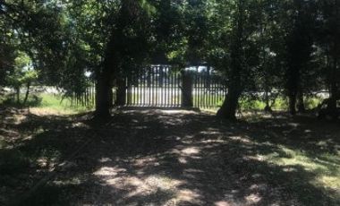 QUINTA EN VENTA 6 HECTÃREAS, RUTA 3 KILOMETRO 70 -CAÃUELAS-
