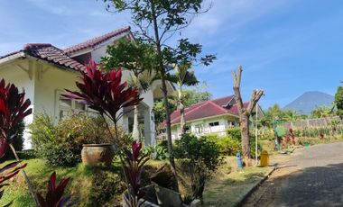 Villa Cantik Harga di Bawah NJOP di Cipanas Udara Sejuk Pemandangan Cantik