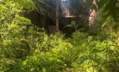 VENTA - CASA ANTIGUA A REFACCIONAR - SAN LUIS 731