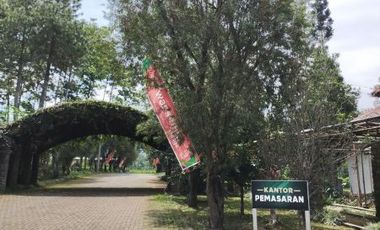 Villa Asri dan Nyaman di Dekat Kebun Teh Gedeh PTPN VIII, 25 Menit dari Istana Presiden Cipanas Harga Cuma 300 juta-an.