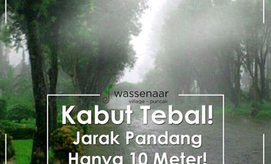 Villa Asri dan Nyaman di Dekat Kebun Teh Gedeh PTPN VIII, 25 Menit dari Istana Presiden Cipanas Harga Cuma 300 juta-an.