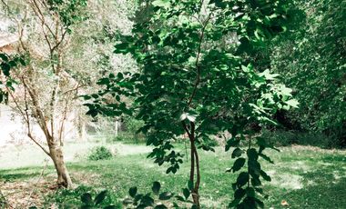 Terreno en venta en Hurlingham