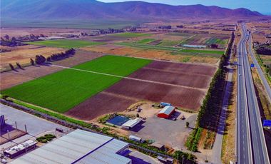 Terreno con potencial Industrial D43