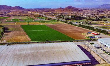 Terreno con potencial Industrial D43