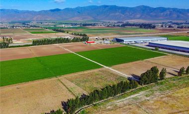 Terreno con potencial Industrial D43