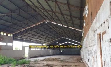 TERMURAH Tanah dan Gudang di Raya Babat Tuban 3.7 Ha Jatim