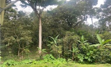 Vendo Casa Lote 2200 mts mesitas del colegio