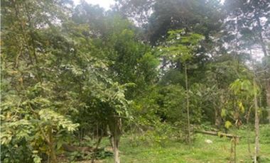 Vendo Casa Lote 2200 mts mesitas del colegio