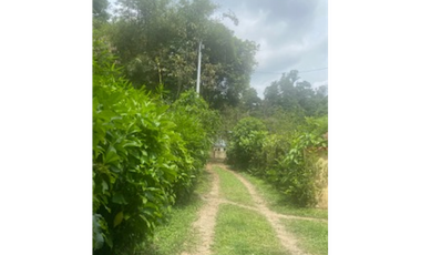 Vendo Casa Lote 2200 mts mesitas del colegio