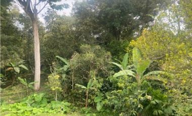 Vendo Casa Lote 2200 mts mesitas del colegio