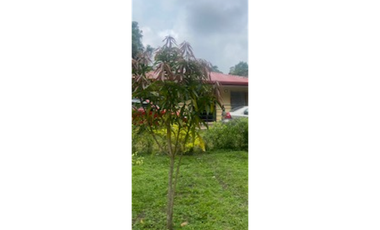 Vendo Casa Lote 2200 mts mesitas del colegio