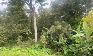 Vendo Casa Lote 2200 mts mesitas del colegio