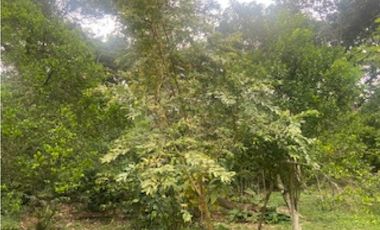 Vendo Casa Lote 2200 mts mesitas del colegio