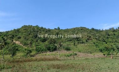 Land suitable for hotel in Selong Belanak near Kuta Mandalika Lombok