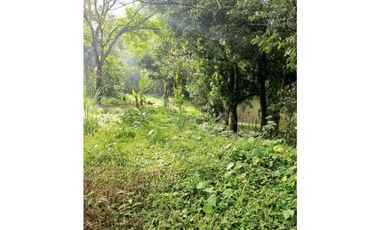 LOTE EN VENTA 64 HECTARIAS  CON LAGO  EN SALAMANCA COLON