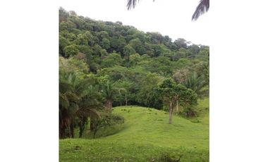 LOTE EN VENTA 64 HECTARIAS  CON LAGO  EN SALAMANCA COLON
