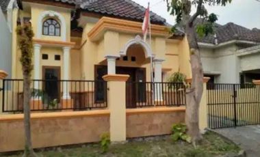 Rumah Disewakan Puri Safira Regency Celosoa Gresi KT