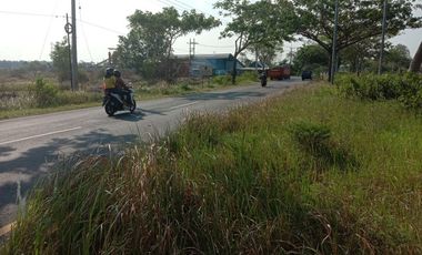 tanah 0jalan suramadu