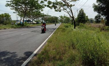 tanah 0jalan suramadu