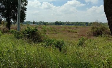 tanah 0jalan suramadu