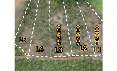 ref 890a morales/vendo lotes campestres en pavas