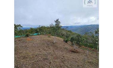 ref 890a morales/vendo lotes campestres en pavas