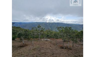 ref 890a morales/vendo lotes campestres en pavas