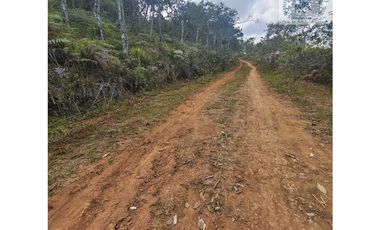 ref 890a morales/vendo lotes campestres en pavas