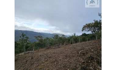 ref 890a morales/vendo lotes campestres en pavas