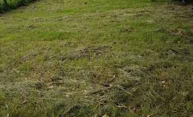 CAMPO 2 HA EN VENTA -COLONIA SUIZA - BARADERO -BUENOS AIRES