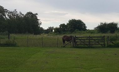 CAMPO 2 HA EN VENTA -COLONIA SUIZA - BARADERO -BUENOS AIRES