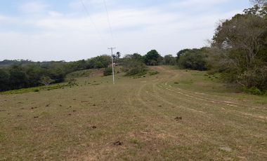 VENDO FINCA DE 345 HECTÁREAS EN SAN CARLOS DE GUAROA.