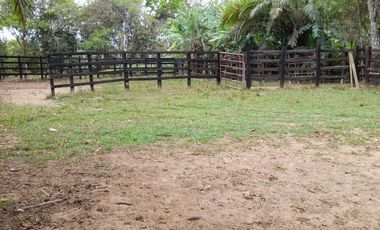 VENDO FINCA DE 345 HECTÁREAS EN SAN CARLOS DE GUAROA.