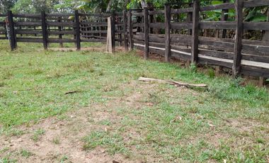 VENDO FINCA DE 345 HECTÁREAS EN SAN CARLOS DE GUAROA.