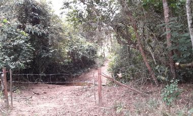 VENDO FINCA DE 345 HECTÁREAS EN SAN CARLOS DE GUAROA.