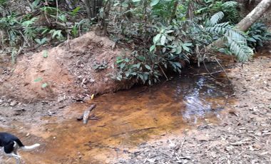 VENDO FINCA DE 345 HECTÁREAS EN SAN CARLOS DE GUAROA.